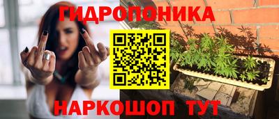 дмт Волгодонск