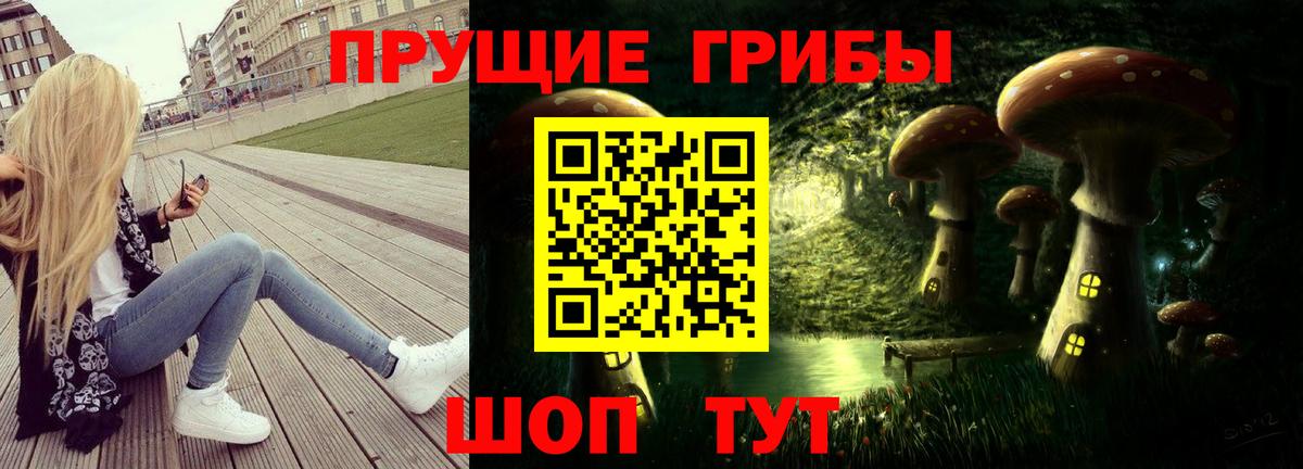 Галлюциногенные грибы Psilocybine cubensis Реж